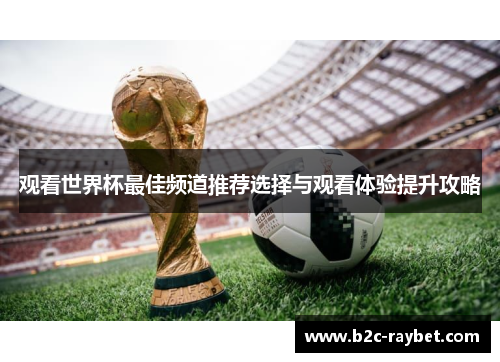 观看世界杯最佳频道推荐选择与观看体验提升攻略