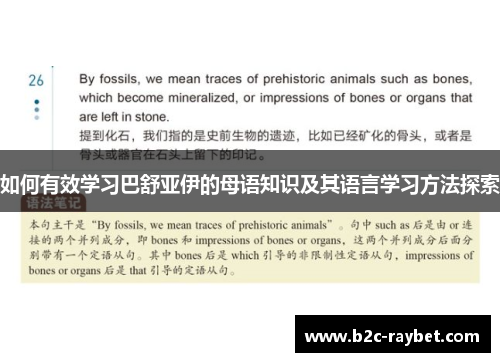 如何有效学习巴舒亚伊的母语知识及其语言学习方法探索