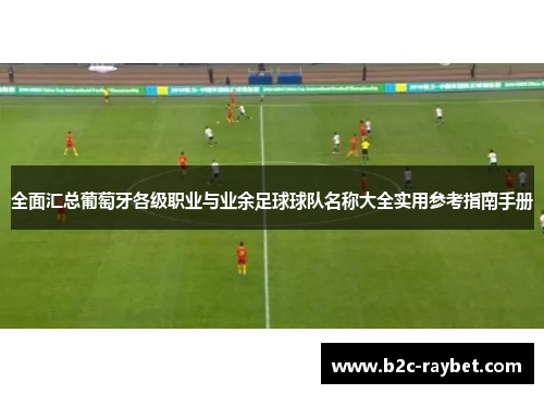 全面汇总葡萄牙各级职业与业余足球球队名称大全实用参考指南手册